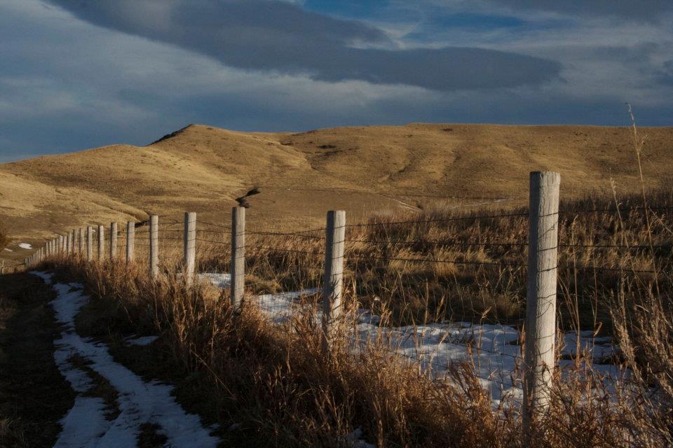 Landscape. 