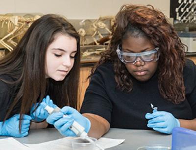 High School Student Programs