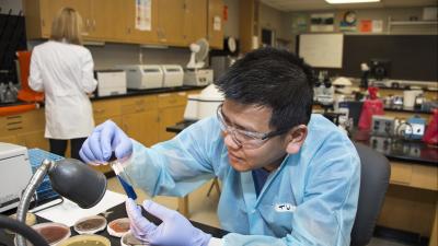 Technician examines the contents of a test tube.