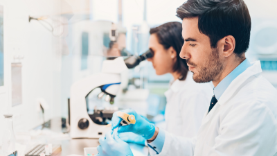 people working in a lab looking at samples under a microscope 