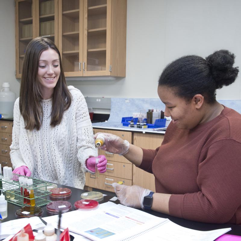 Two students working with beakers and petri dishes in a biology lab