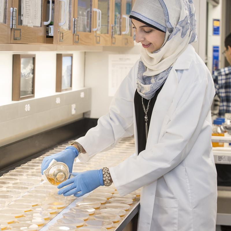 Student in lab pouring chemicals into dishes