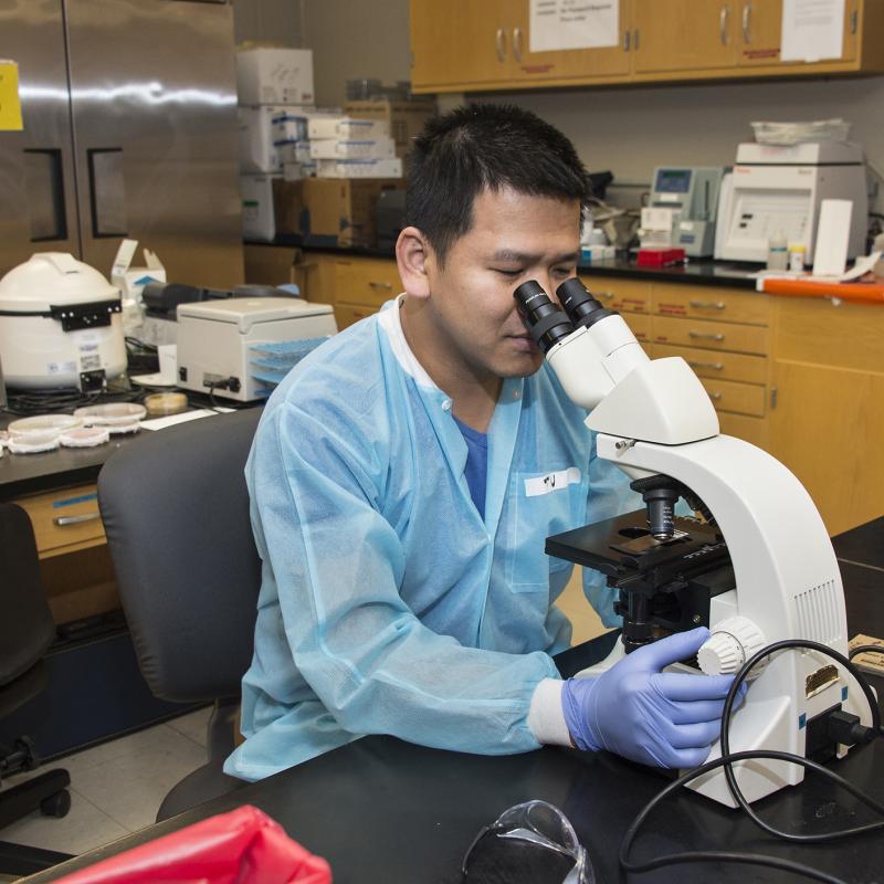 Student looking into a microscope