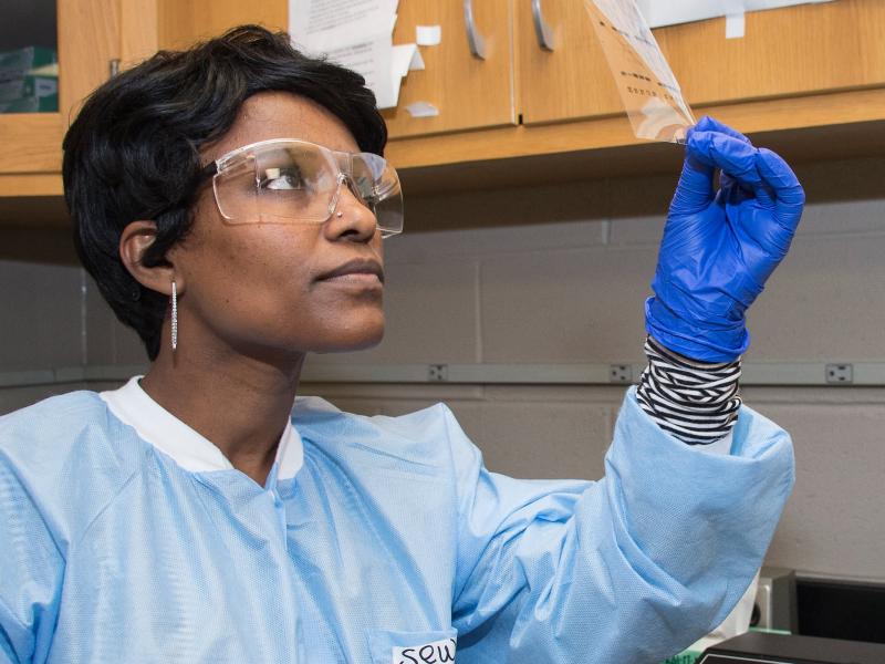 Student in the lab looking at a sample in a plastic bag