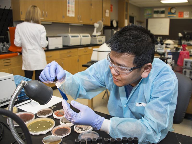 Technician examines the contents of a test tube.