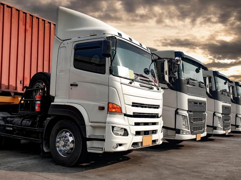 Line of parked large trucks.