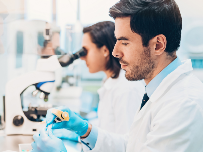 people working in a lab looking at samples under a microscope 